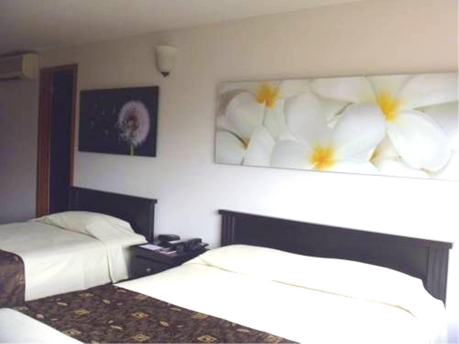 Hotel Plaza Rosa Μεντεγίν Εξωτερικό φωτογραφία