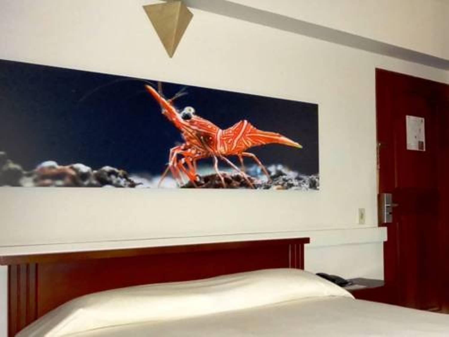 Hotel Plaza Rosa Μεντεγίν Εξωτερικό φωτογραφία